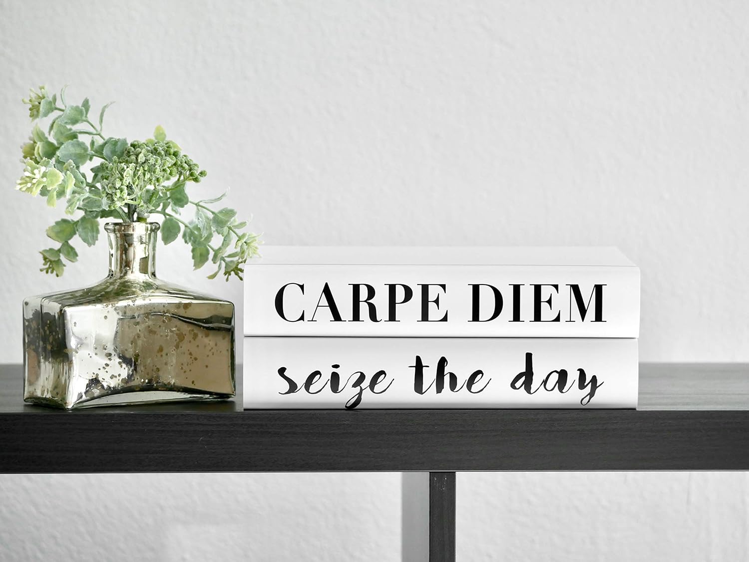 Amazon Com Carpe Diem Seize The Day Decorative Quote Books Set Of 2 Books For Coffee Table And Bookshelf Handmade