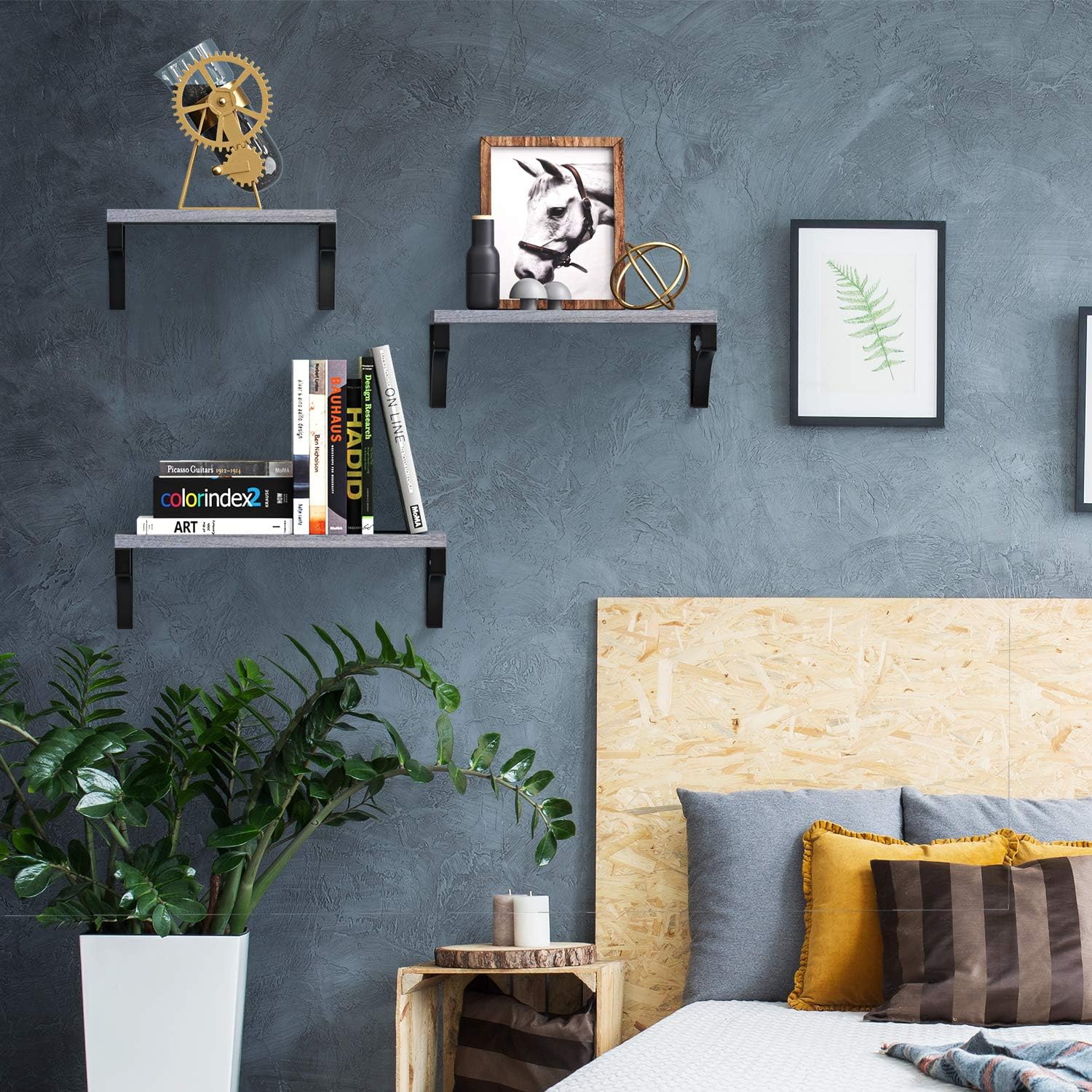 Amada Floating Shelves Wall Mounted, Rustic Paulownia Wood Wall Shelves Set of 3 for Bedroom, Bathroom, Living Room, Farmhouse Kitchen, Gray: Furniture & Decor