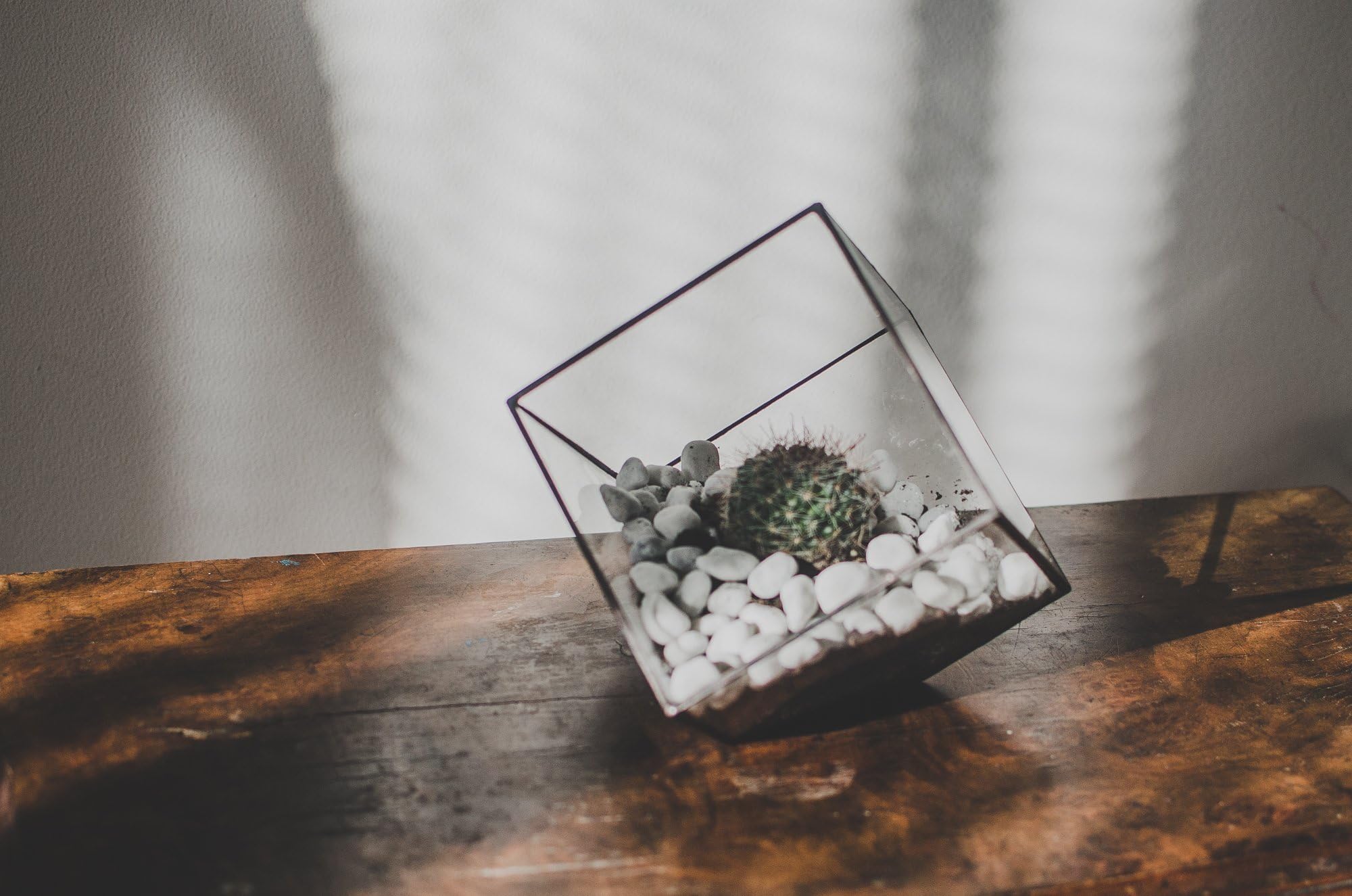 Large Terrarium Cube (black, copper or silver)