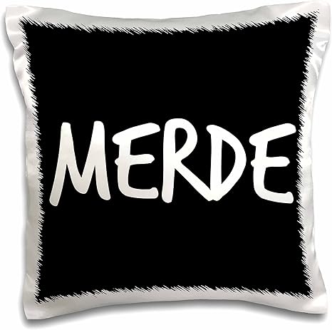 Amazon Com 3drose Merde Shit In French Pillow Case 16 By 16