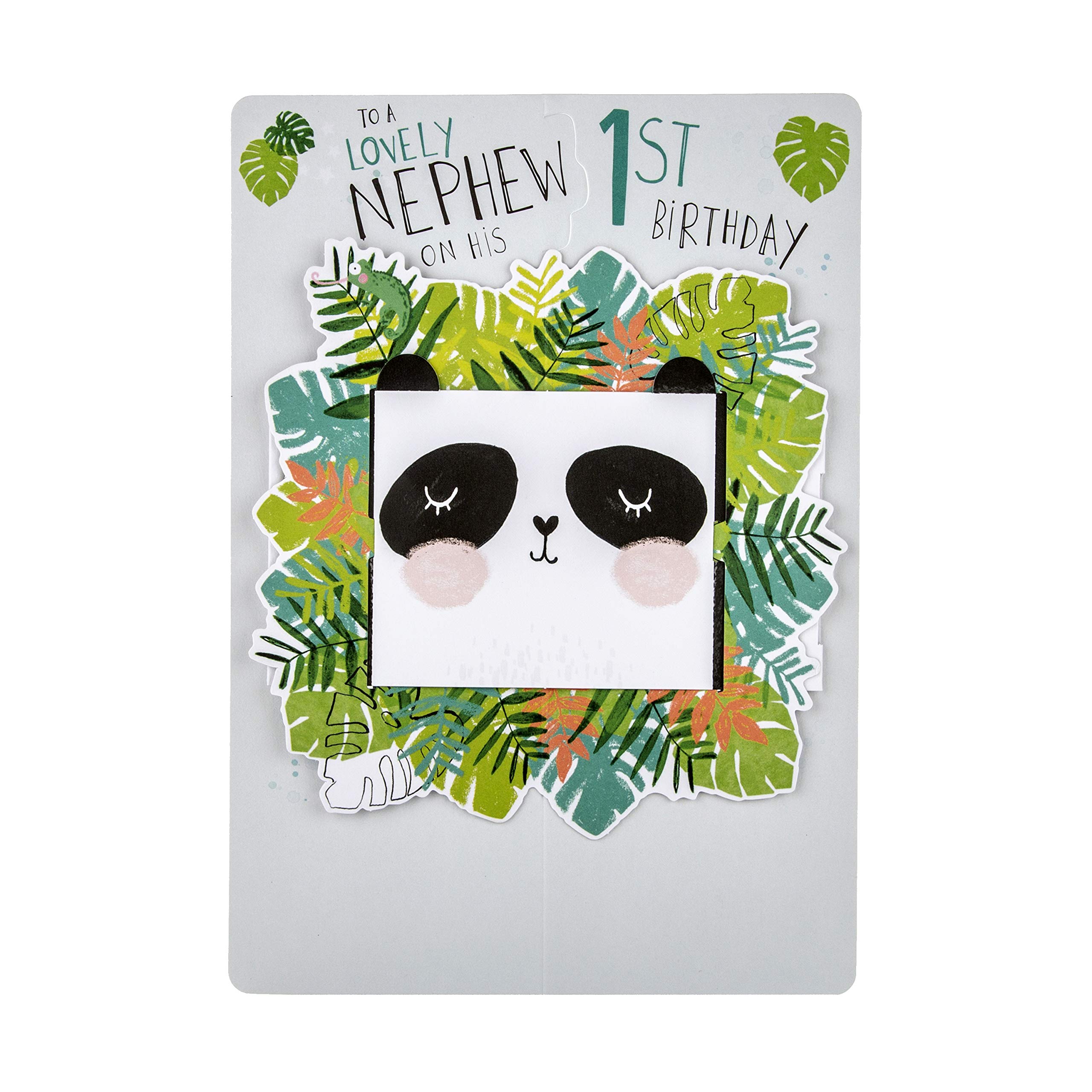 Hallmark 1st Birthday Card for Nephew - Die-cut 3D Design