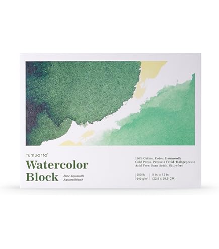 New York Central Watercolor Paper Sheets, 22x30 Inch, 300lb Cold Press Pack Of 50 Professional Grade Acid Free Archival Superior Surface