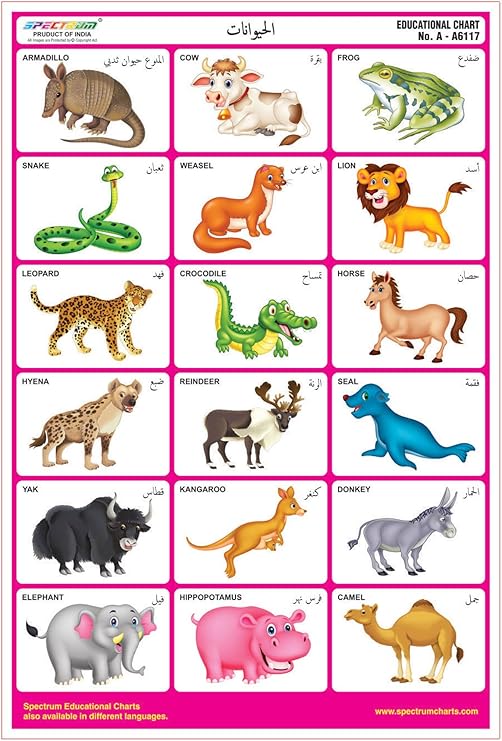 Spectrum 25 x Arabic Language Animals Name Kids Educational Learing
