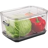 ProKeeper Produce Storage Container with Stay-Fresh Vent System &ndash; 5.7 Quarts, Airtight for Fruits &amp; Vegetables
