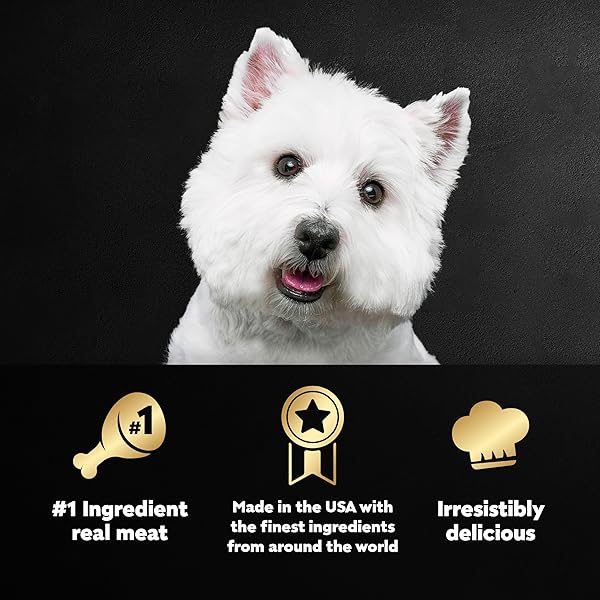 CESAR WET DOG FOOD CLASSIC LOAF IN SAUCE, FILET MIGNON FLAVOR AND PORTER HOUSE FLAVOR, 3.5 OZ. EASY PEEL TRAYS, 12 COUNT
