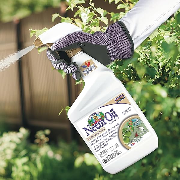 BONIDE CAPTAIN JACK’S NEEM OIL, 32 OZ READY-TO-USE SPRAY, MULTI-PURPOSE FUNGICIDE, INSECTICIDE AND MITICIDE FOR ORGANIC GARDENING