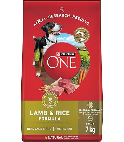 Purina ONE Dry Dog Food, +Plus Large Breed with Chicken - 7 kg Bag