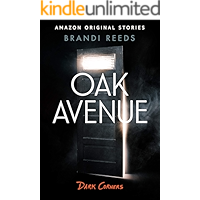 Oak Avenue (Dark Corners collection) book cover