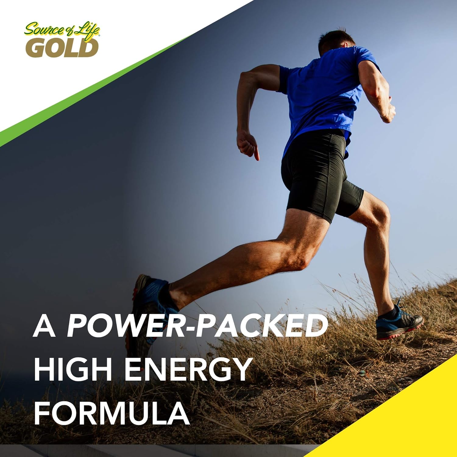 NaturesPlus Source of Life Gold - 90 Vegetarian Capsules - All Natural Whole Food Multivitamin, Complete Daily Vitamin Profile, Energy Booster - Gluten-Free - 10 Servings: Health & Personal Care