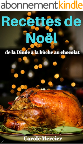 Download Recettes De Noël : Savoureuses Recettes Sucrées Et Salées ! PDF