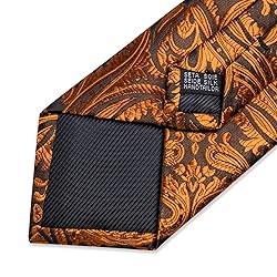 DiBanGu Silk Paisley Ties for Men Woven Necktie and