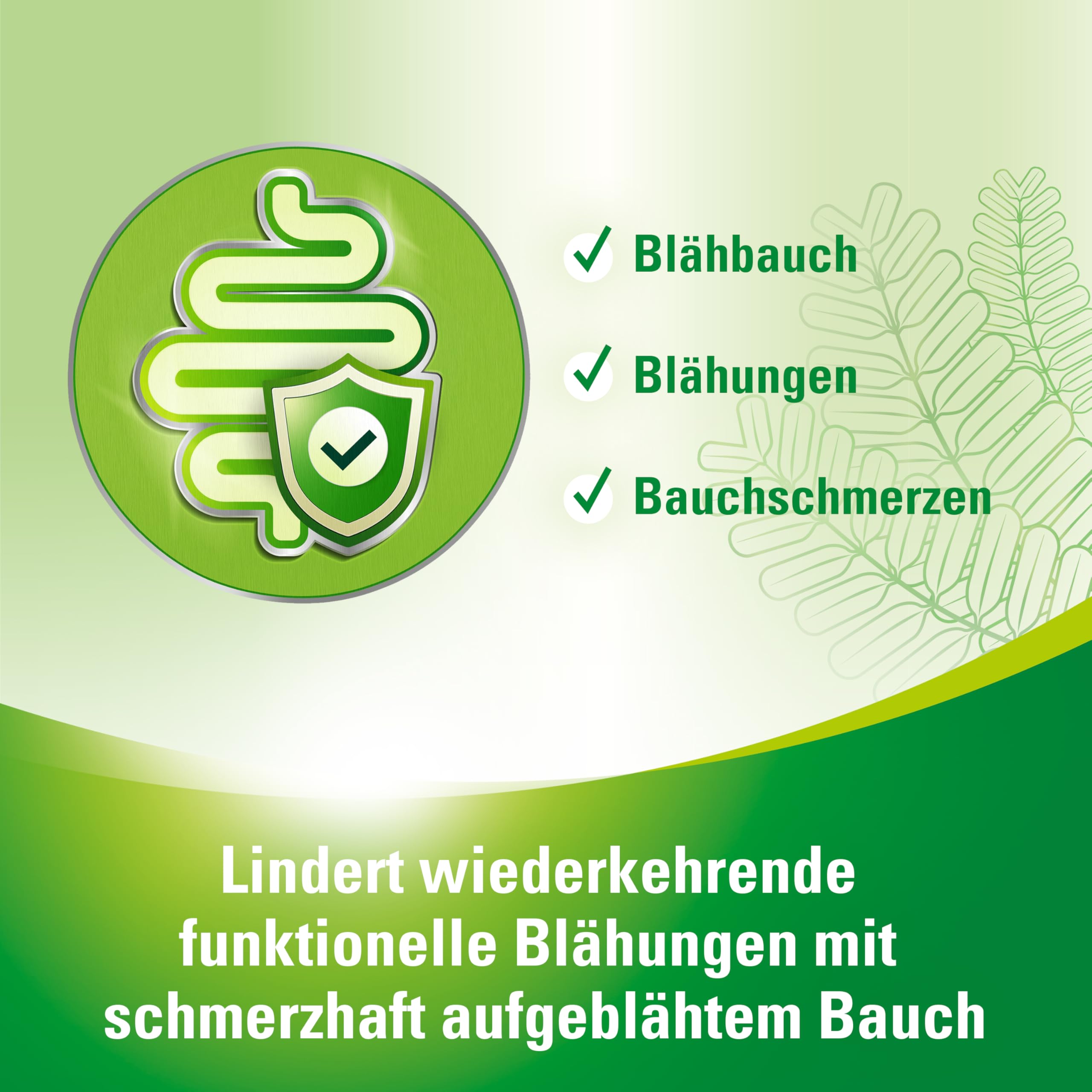 Lefaxan® protect | bei wiederkehrenden funktionellen Blähungen mit Blähbauch und gasbedingten Bauchschmerzen | für die Stärkung der natürlichen Darmbarriere | 15 Kapseln 2