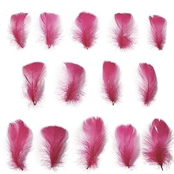 300pcs Maroon Red Feathers 2-3 Inches Bulk Feathers