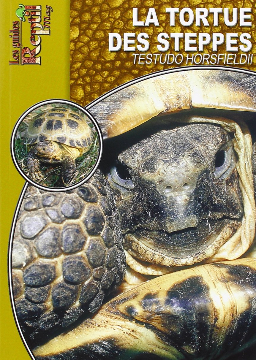 La Tortue Des Steppes Testudo Horsfieldii Wilms Thomas Amazon Fr Livres
