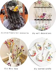 DIY Dried Flower Set, Bulk Dried Flowers,Handmade