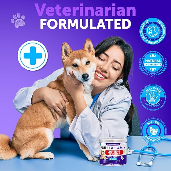 DOG MULTIVITAMIN CHEWABLE WITH GLUCOSAMINE 20 IN 1 – DOG VITAMINS AND SUPPLEMENTS – SENIOR & PUPPY MULTIVITAMIN FOR DOGS – PET JOINT SUPPORT HEALTH – IMMUNITY, MOBILITY, GUT SKIN – 120 CHEWS