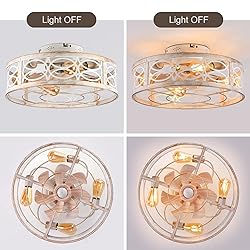 HUEOCZW 20" Caged Ceiling Fan with Light and