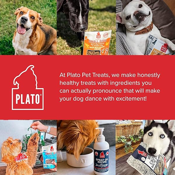 PLATO SMALL BITES NATURAL TRAINING DOG TREATS – REAL MEAT – GRAIN FREE – MADE IN THE USA – ORGANIC CHICKEN FLAVOR, 6 OUNCES