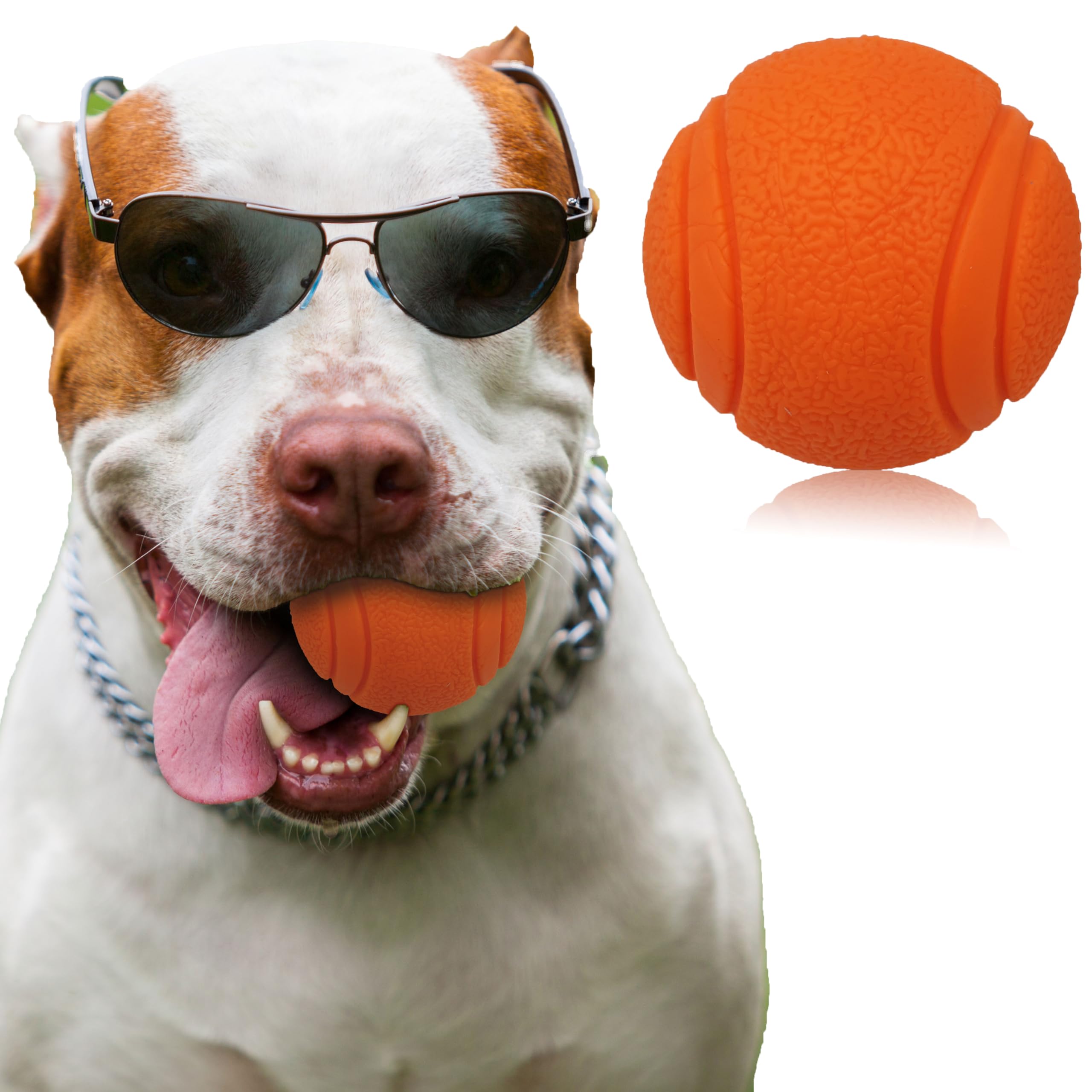 Pet Touch 6cm Solid Core Rubber Ball HIGH BOUNCING Dog Toys Indestructible Virtually Tough Dog Toys Interactive Dog Toys Strong Rubber Balls for dogs (Medium(60mm), Orange)