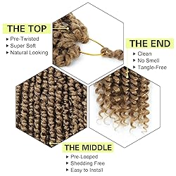 Ameli Passion Twist Crochet Hair 10 Inch Passion