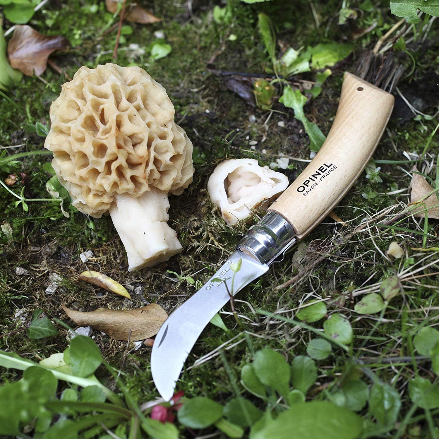 Opinel Stainless Steel Folding Mushroom Hunting Knife with Beechwood Handle : Hunting Folding Knives : Home Improvement