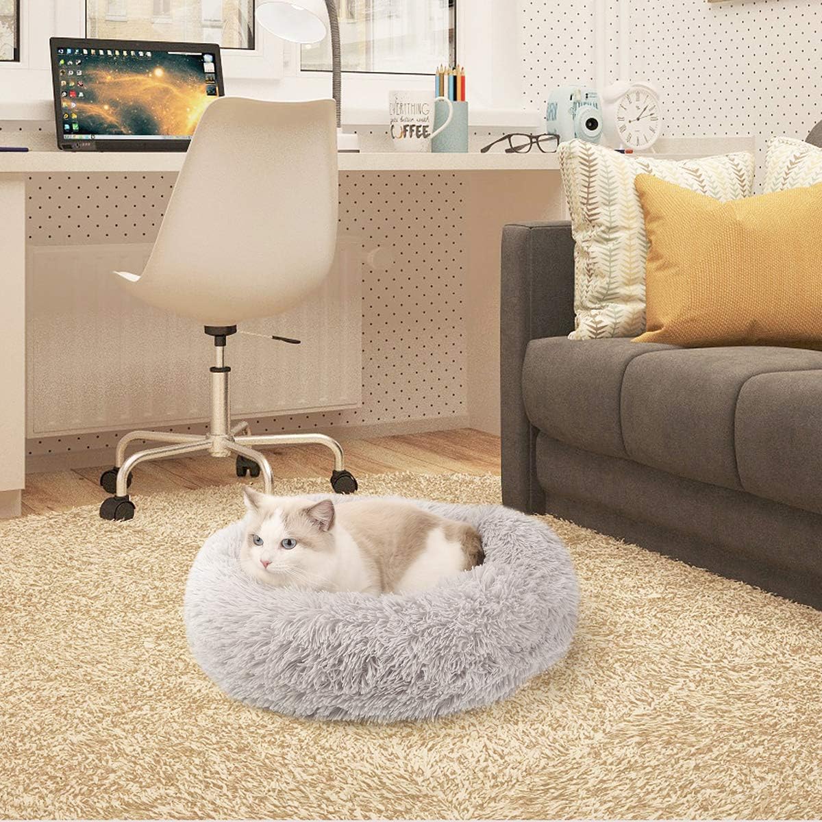 NOYAL Donut Dog Cat Bed, Soft Plush Pet Cushion, Anti-Slip Machine Washable Self-Warming Pet Bed - Improved Sleep for Cats Small Medium Dogs (Multiple Sizes) : Pet Supplies