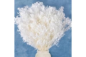 KOCEKO 6000+ Ivory White Dried Baby's Breath Flowers Bulk - 17" Bleached Gypsophila Bouquet (5.64oz), 100% Natural Dry Flowers for Wedding Decor, Table Centerpiece, Crafts, Vase Filler, DIY Wreath