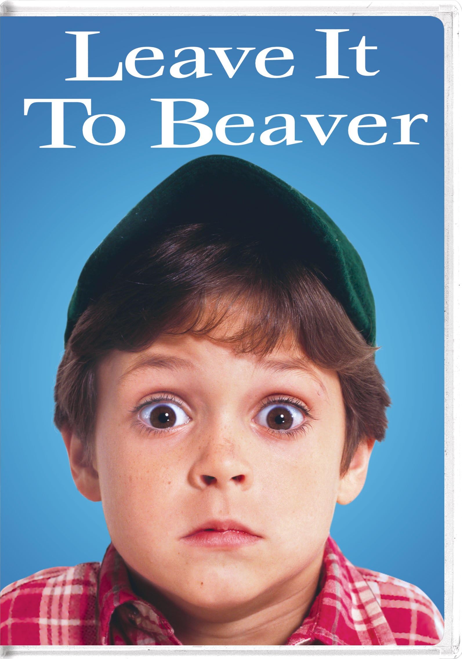Leave It To Beaver [DVD]