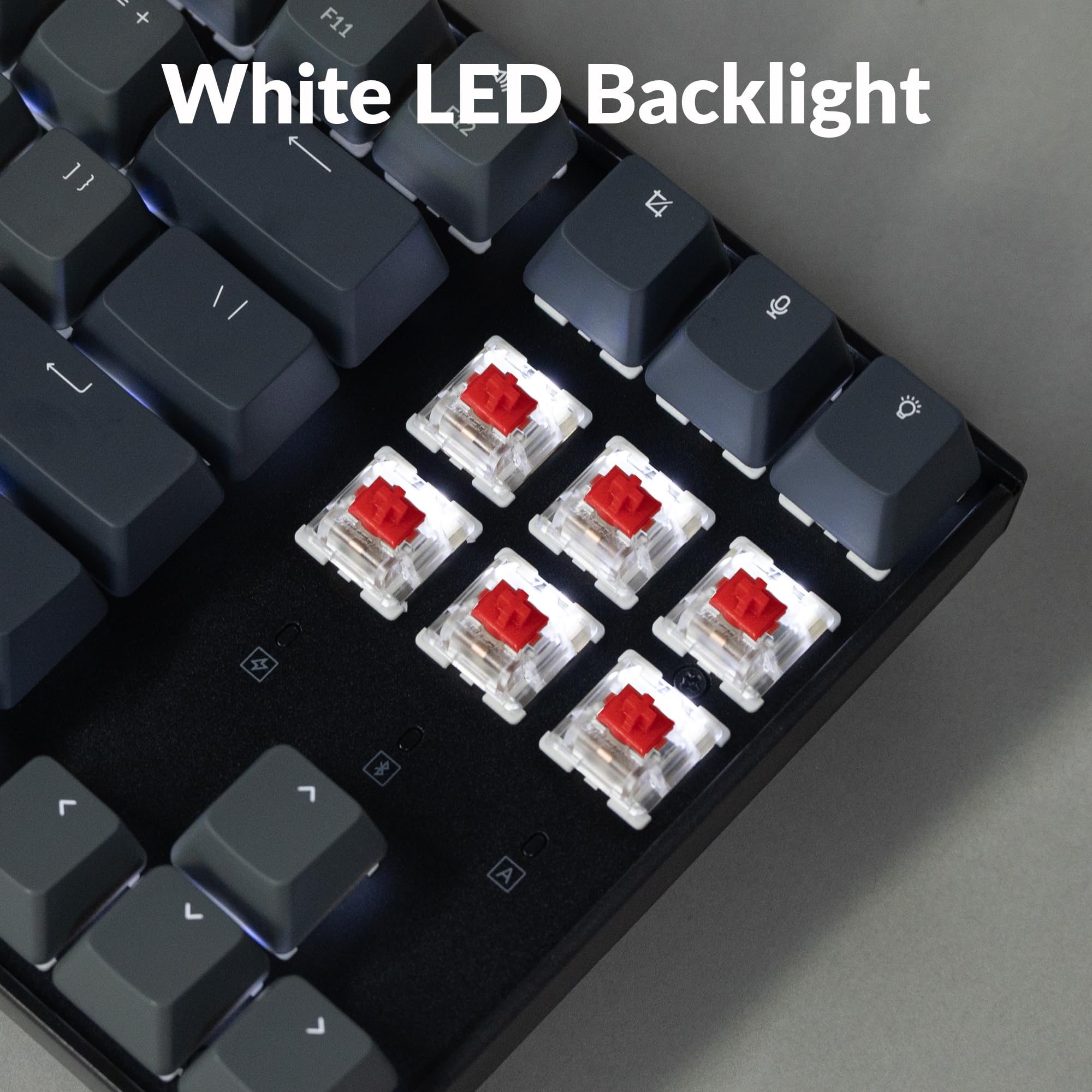 Keychron K8 Tenkeyless Wireless Mechanical Keyboard for Mac, White Backlight, Bluetooth, Multitasking, Type-C Wired Gaming Keyboard for Windows Red Switch
