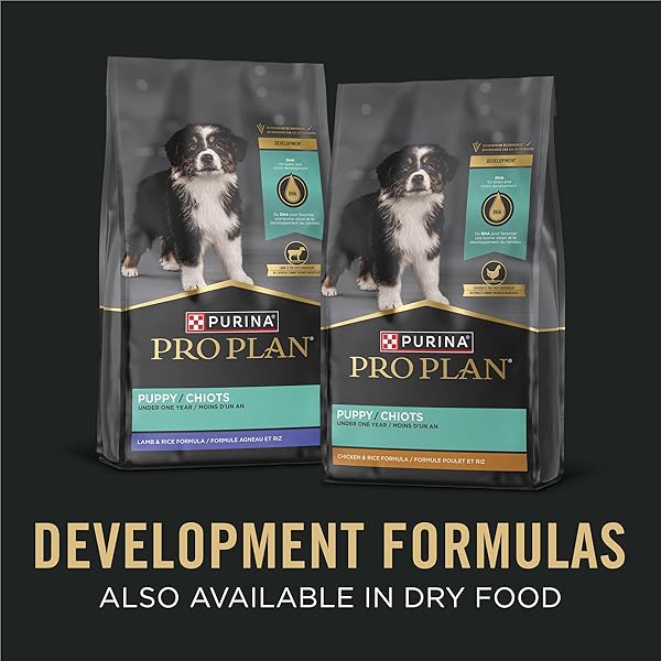 PURINA PRO PLAN DEVELOPMENT WET PUPPY FOOD, GRAIN FREE CHICKEN ENTREE AND GRAIN FREE TURKEY ENTREE VARIETY PACK – (PACK OF 12) 13 OZ. CANS