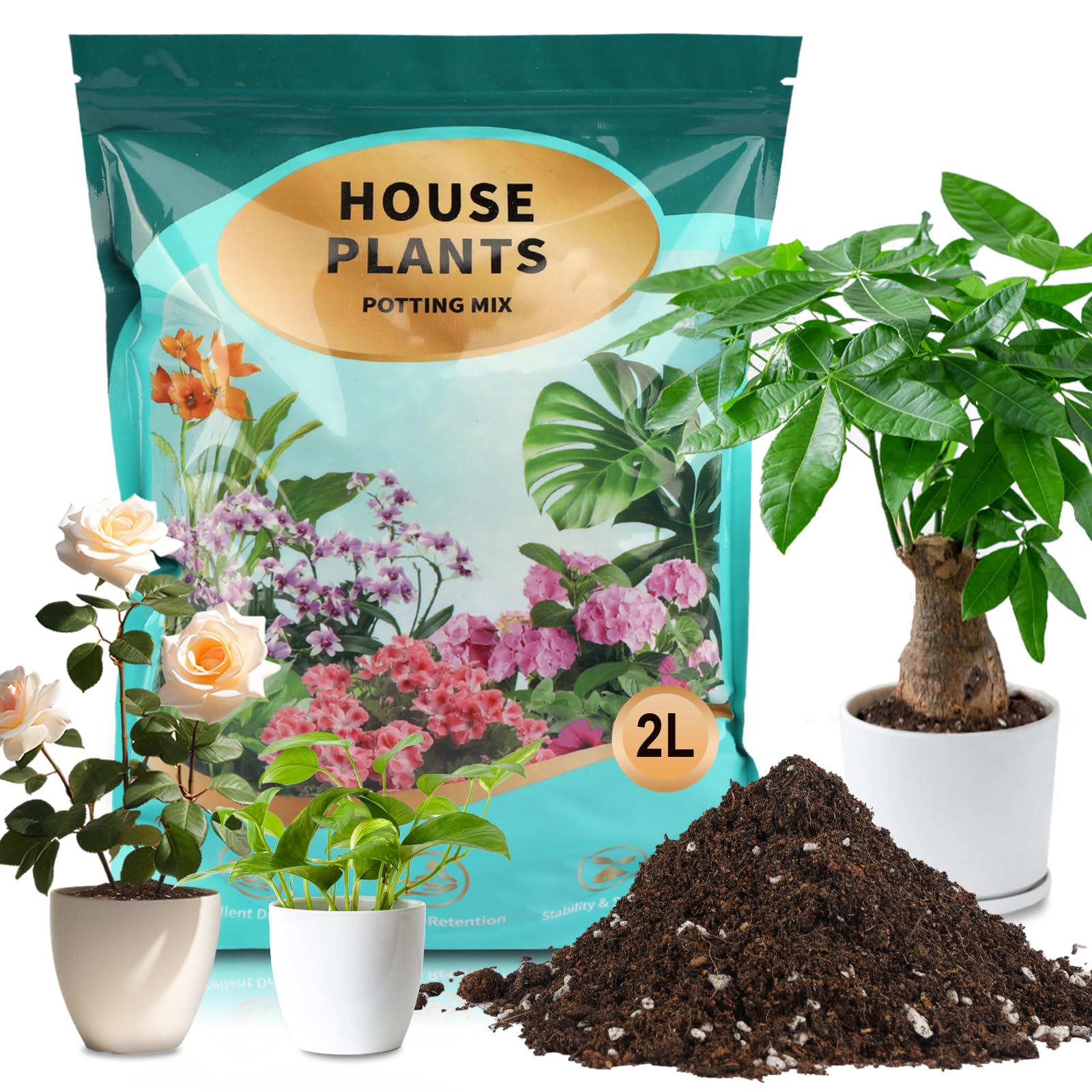 GOTVUGE Potting Soil Mix for House Plants, Organic Houseplant Soil Well Draining Dirt Ready to Use, Fit For House Plant Like Pothos, Philodendron, Monstera, African Violet (2L)