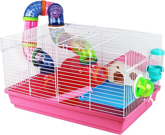 all kind male dog wraps