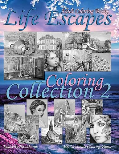 Download Adult Coloring Books Life Escapes Coloring Collection 2: Life Escapes 2nd Annual Huge Variety Grayscale Coloring Book with 100 Pages. Big value…big book…big variety of coloring themes PDF