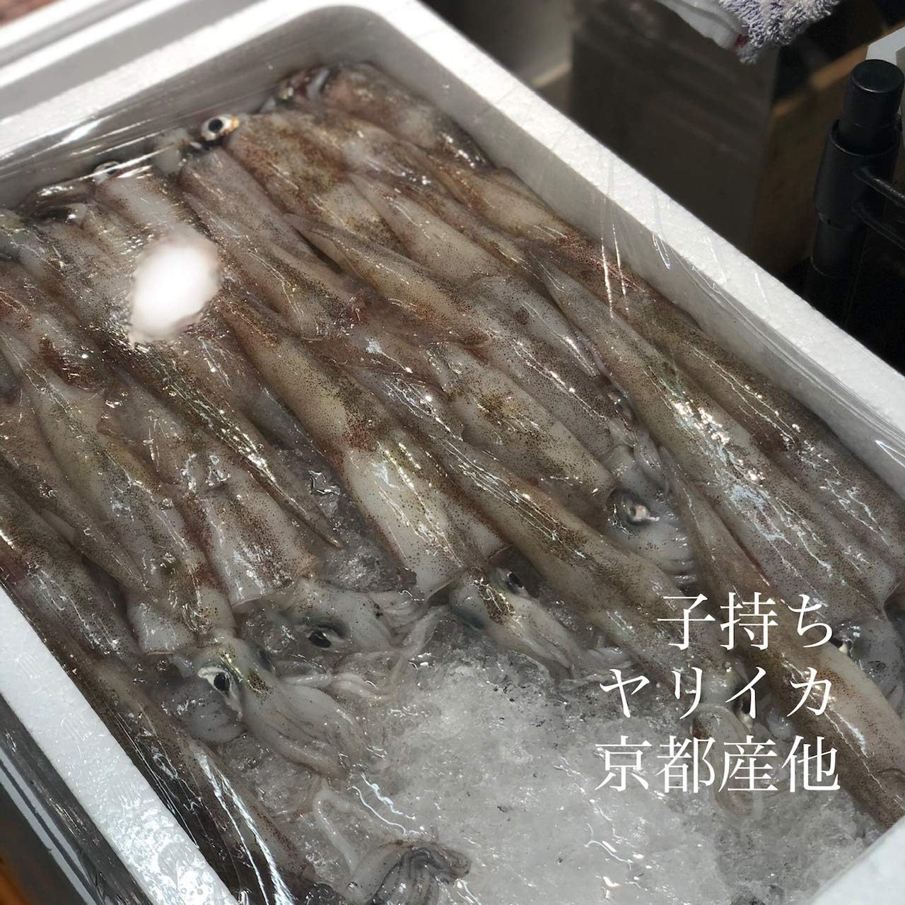 Amazon 子持ちヤリイカ 鎗烏賊 京都産 他 1杯100g前後 計500g 子持ちヤリイカ500g 冷蔵 豊洲直送 株式会社okawari イカ 通販