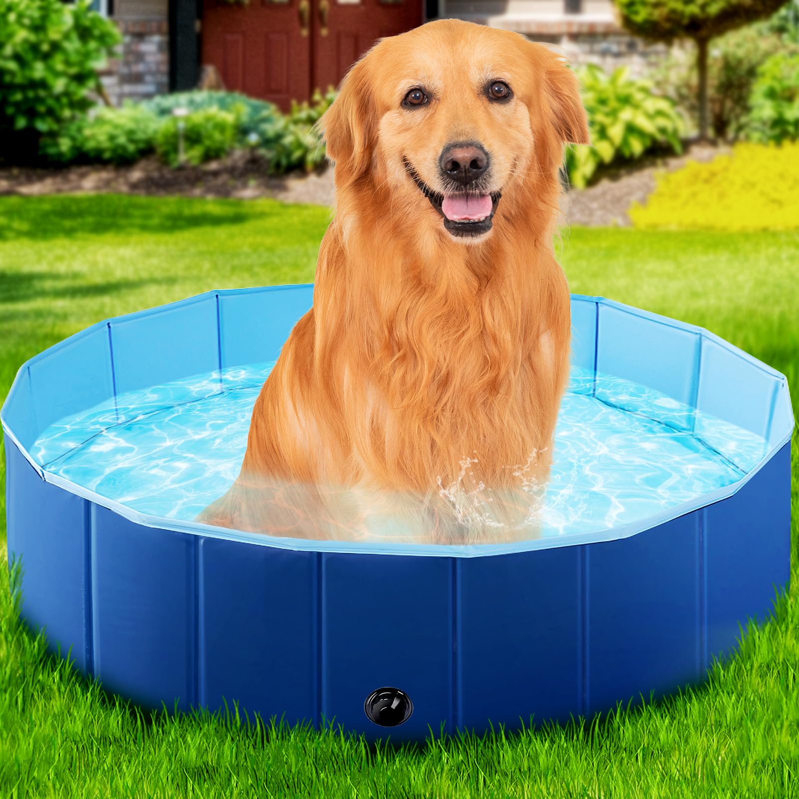 Photo 1 of StarOcean Foldable Dog Pool, Kiddie Pool Hard Plastic Pool for Kids, Pools for Large Dogs, Swimming Pool for Dogs,Collapsible Pool Dog Bathing Tub, pop up Dog Pool for Kids,Cat (32" x 8" Inch,Blue)