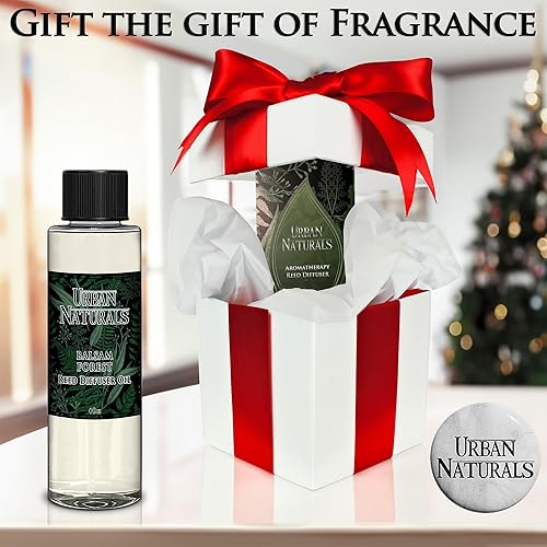 Urban Naturals Vetiver Man CAVE Scented Reed Diffuser Refill Set