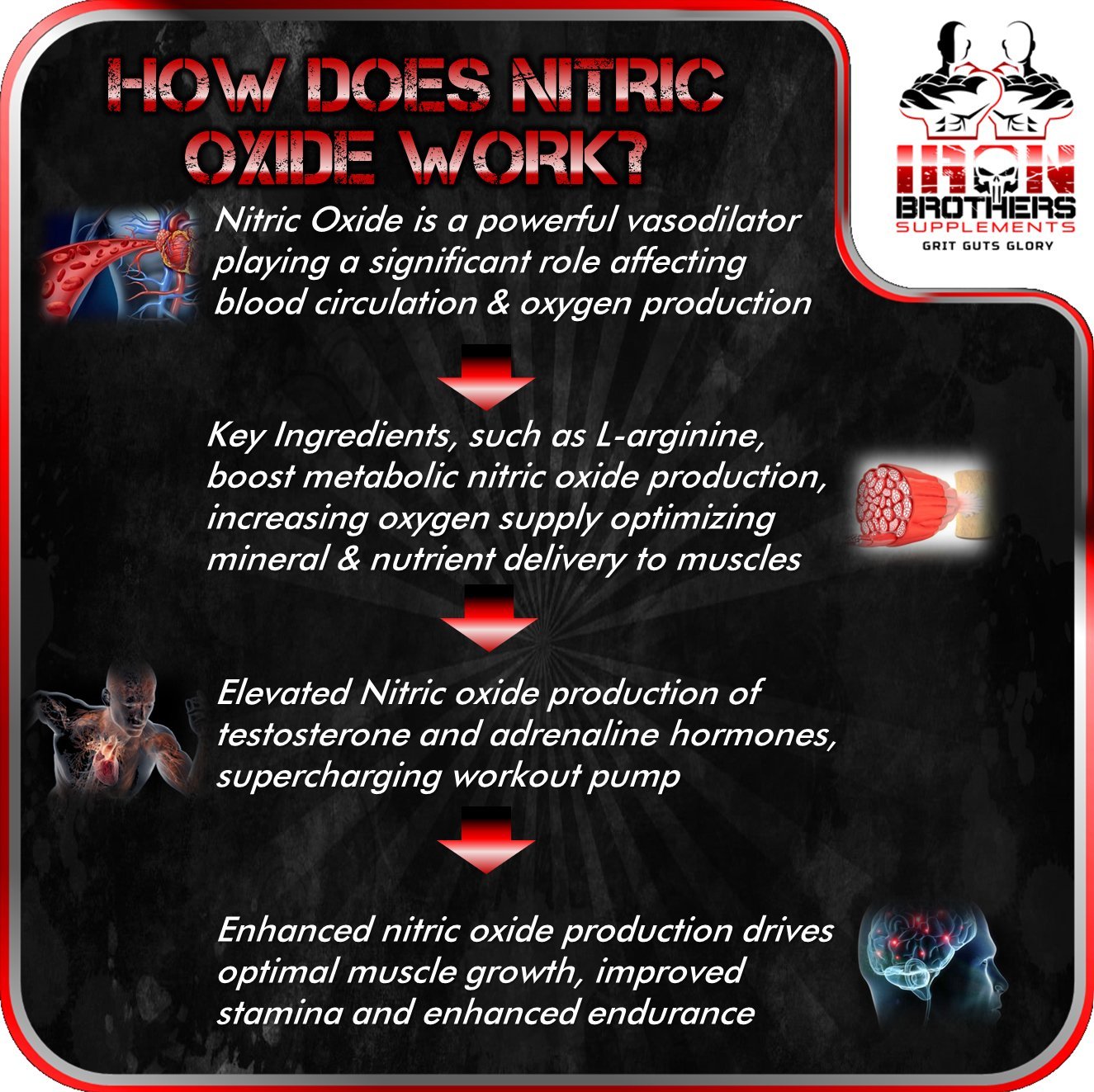 Nitric Oxide Supplements NO2 Booster Pre workout with Fermented L