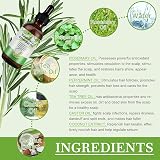 GOFLORDEN Rosemary Essential Oil Hair Growth Loss Scalp Skin Care 2x60ml Unisex view 5