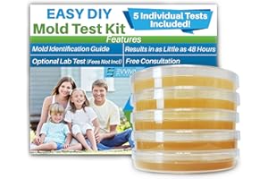 ES EVVIVA SCIENCES Evviva Sciences Mold Test Kit for Home - 5 Simple Detection Tests w/Optional Lab Analysis, Test HVAC System, Home Surfaces, & Indoor Air Quality - Downloadable Identification Guide