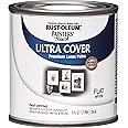 Rust-Oleum 1990730 Painter's Touch Latex Paint, Half Pint, Flat White, 8 Fl Oz (Pack of 1)