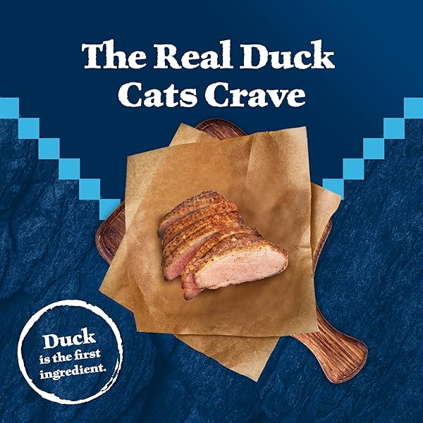 BLUE BUFFALO WILDERNESS HEALTHY ADULT DRY CAT FOOD, SUPPORTS HEALTH AND WELLNESS, HIGH-PROTEIN & GRAIN-FREE, DUCK, 11-LB BAG