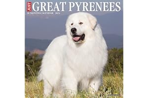 Willow Creek Press Great Pyrenees Monthly 2024 Wall Calendar (12" x 12")