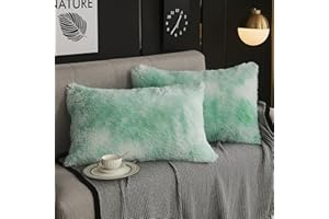 WERDIM Shaggy Faux Fur Pillowcases 2 Pack Button Closure Velvet Pillow Shams Standard/Queen Size (Tie Dye Aqua, 20 X 26 Inches)
