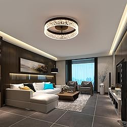 Jaycomey Modern LED Ceiling Light