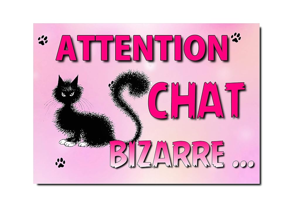 Plaque Attention Chat En Metal 29 X Cm Env Ref 05 Amazon Fr Handmade