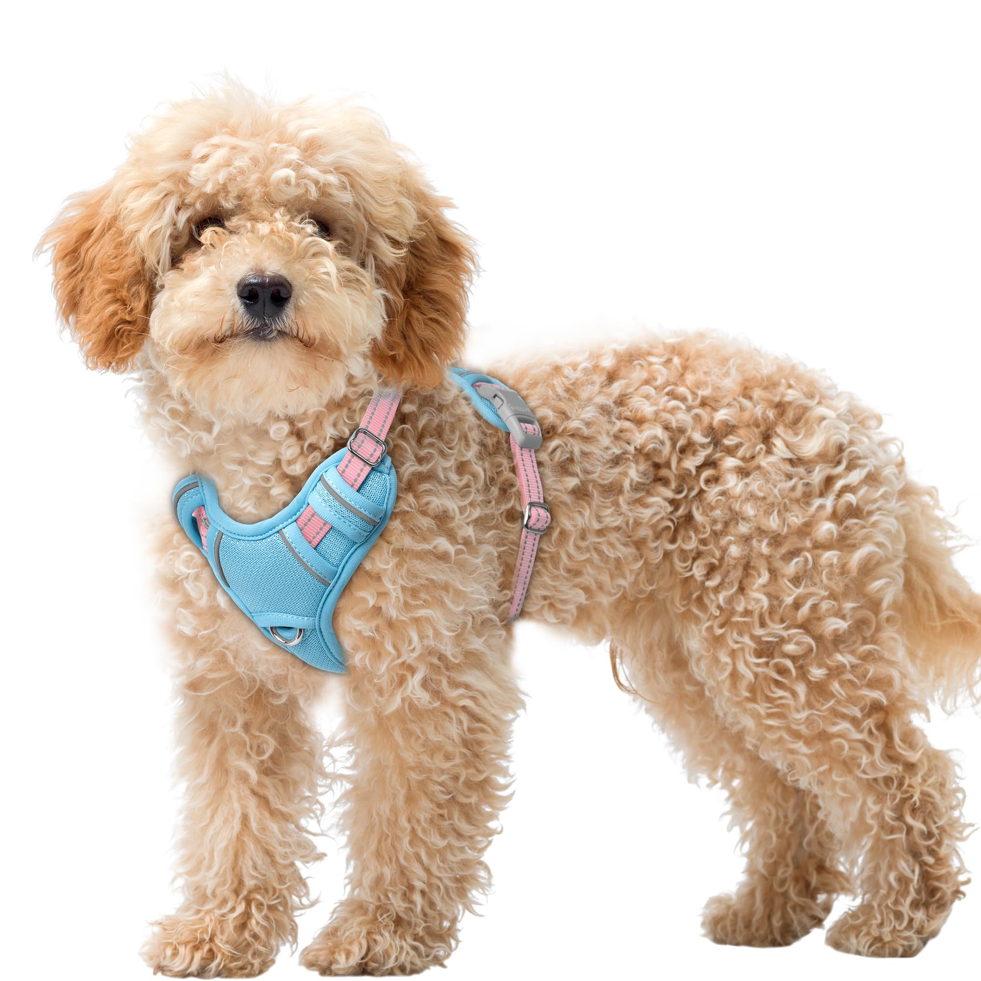 BARKBAY No Pull Dog Harness Large Reflective Dog Harness with Front Clip and Easy Control Handle for Walking Training Running with ID tag Pocket(Baby Blue & Baby Pink,XS) Image