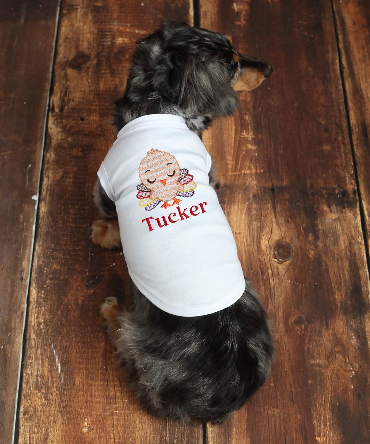 Thanksgiving Dog Shirt Tee Dog Thanksgiving Shirt Dog Turkey Boy