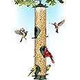 Bird Feeders for Outdoors (Green) Squirrel Proof Hanging Bird Feeder with Locking Lid & Adjustable Hanger, Chew-Proof, Weather Resistant 16 Inches 6 Port