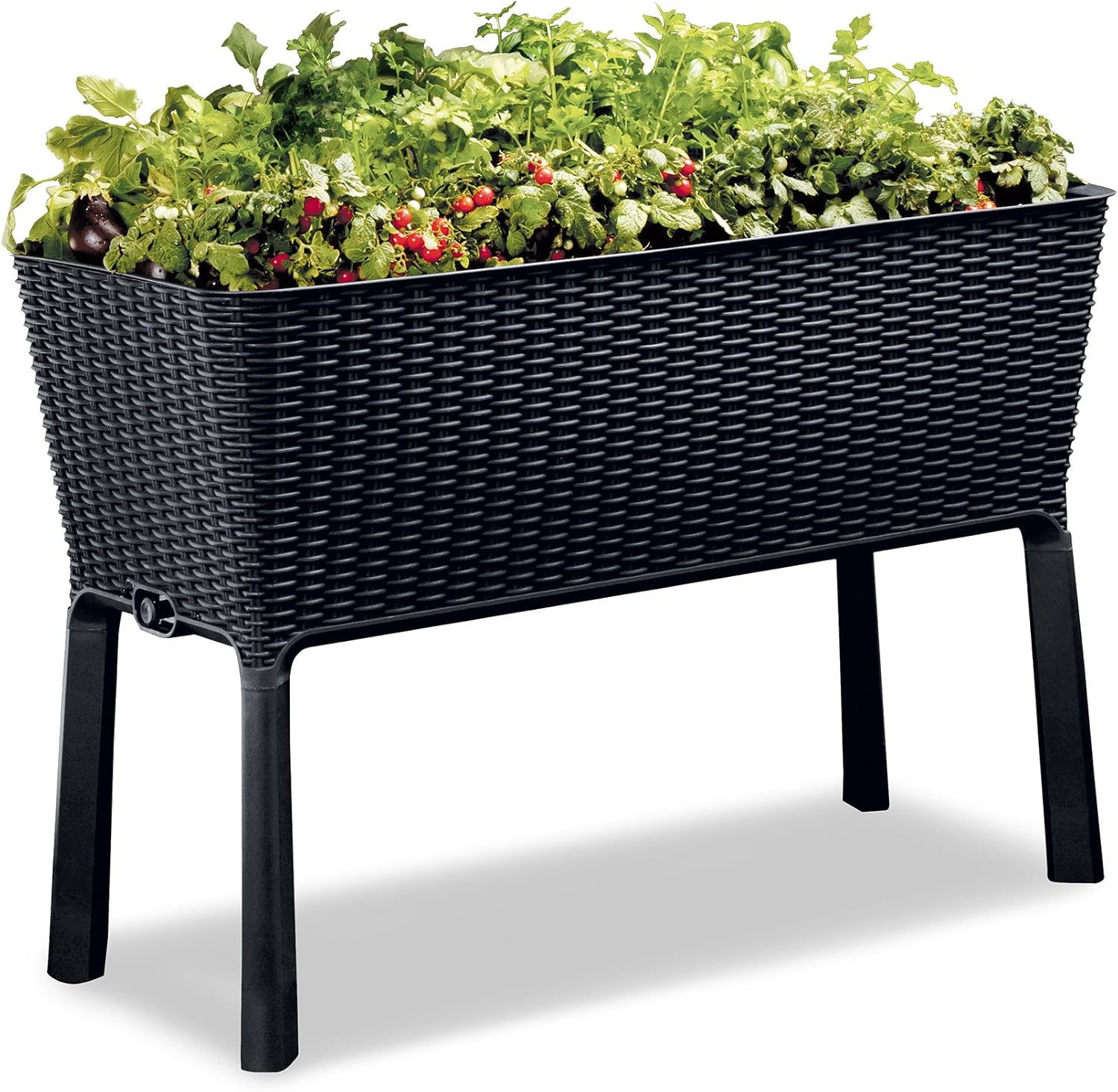 Best Garden Bed Kit 3X6