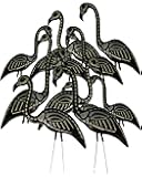 Pink Inc. 299/6 Skel-A-Mingo, Set of 12